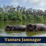 vantara anant ambani