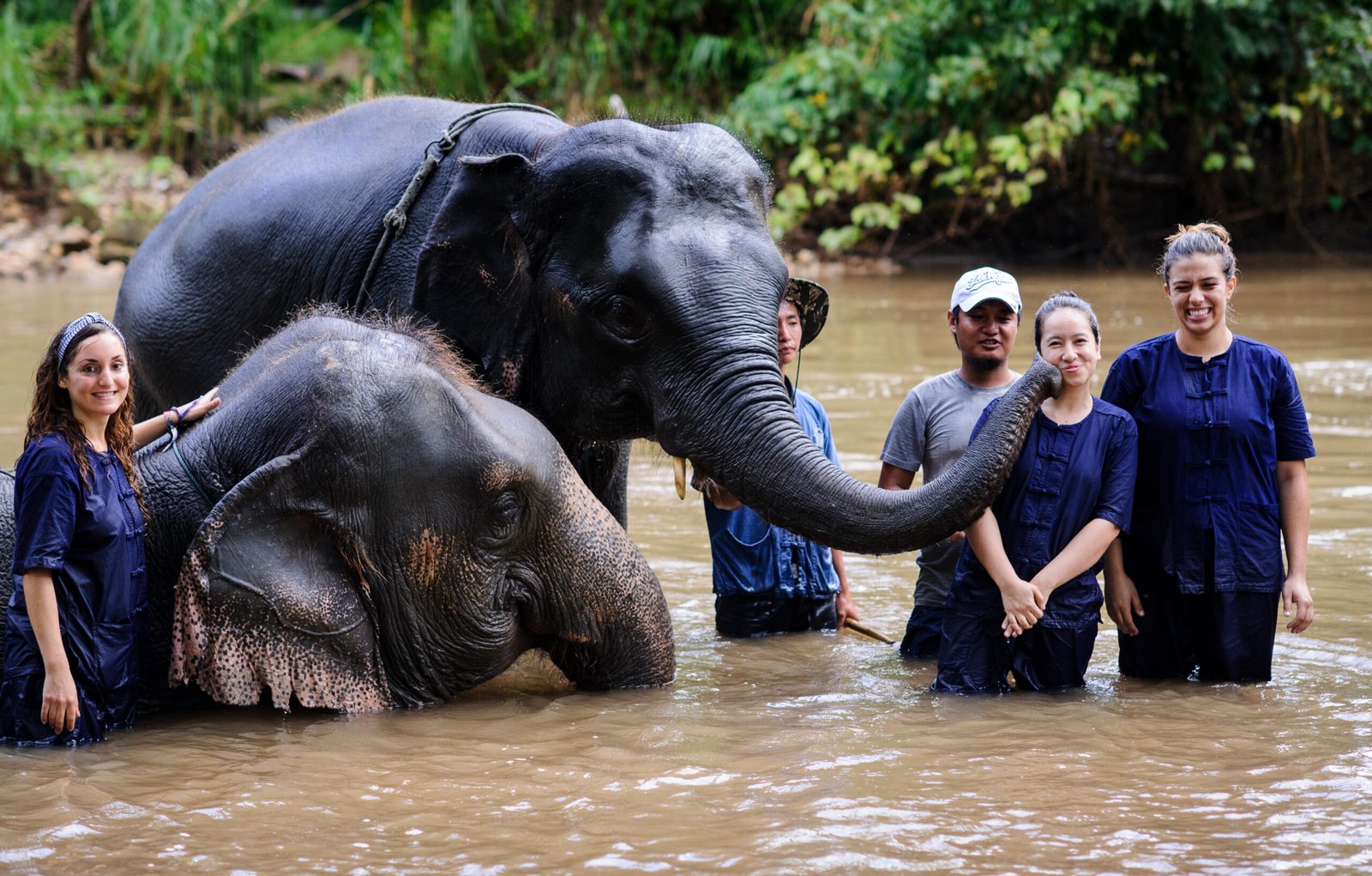 vantara zoo vantara volunteer