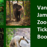 Vantara Jamnagar Zoo Tickets Booking