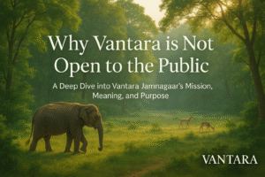 Why vantara is not open to public