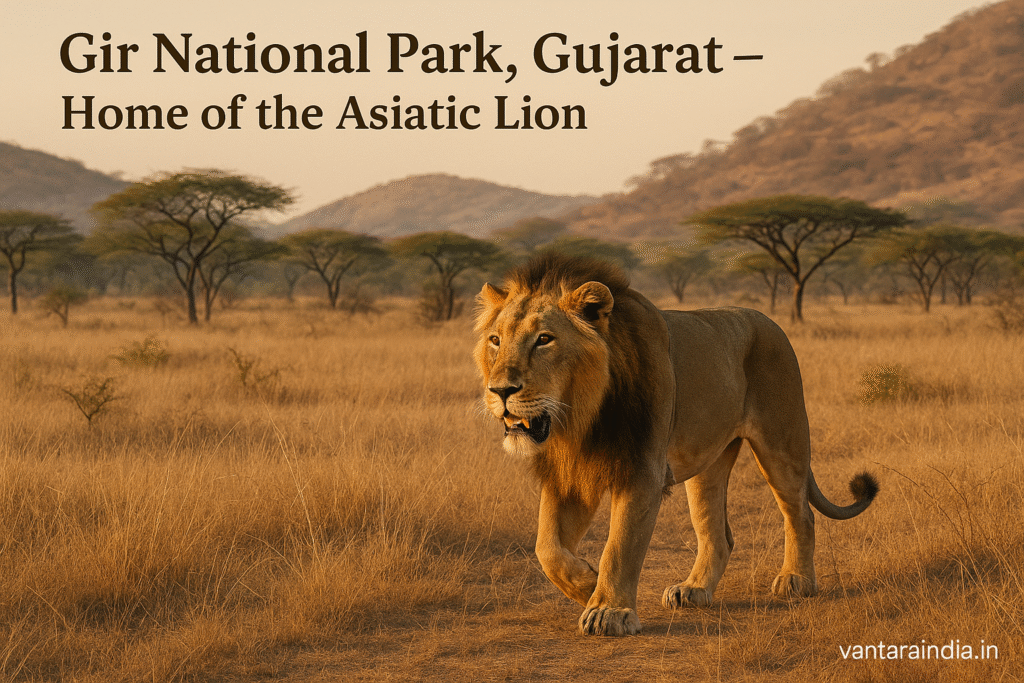 gir national park