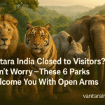 vantara india