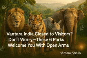vantara india