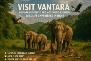 visit vantara