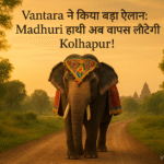 vantara मधुरी हाथी की वापसी