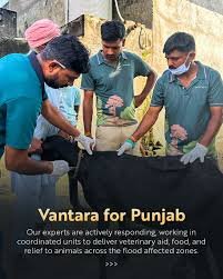 van punjab post 2