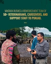 van punjab post 5
